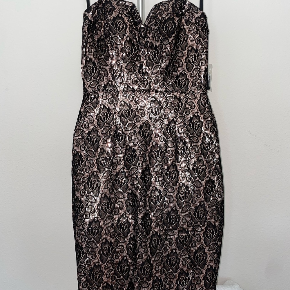 Brand New Women’s Bisou Bisou Blush/Black Lace Sparkle Dress Size 4